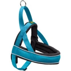 Hunter Hunter Harness Norweger Racing - Petrol-Zwart 9 Hunter Hunter Harness Norweger Racing - Petrol-Zwart -Dierenwinkel hunter hunter harness norweger racing petrol zwart 3