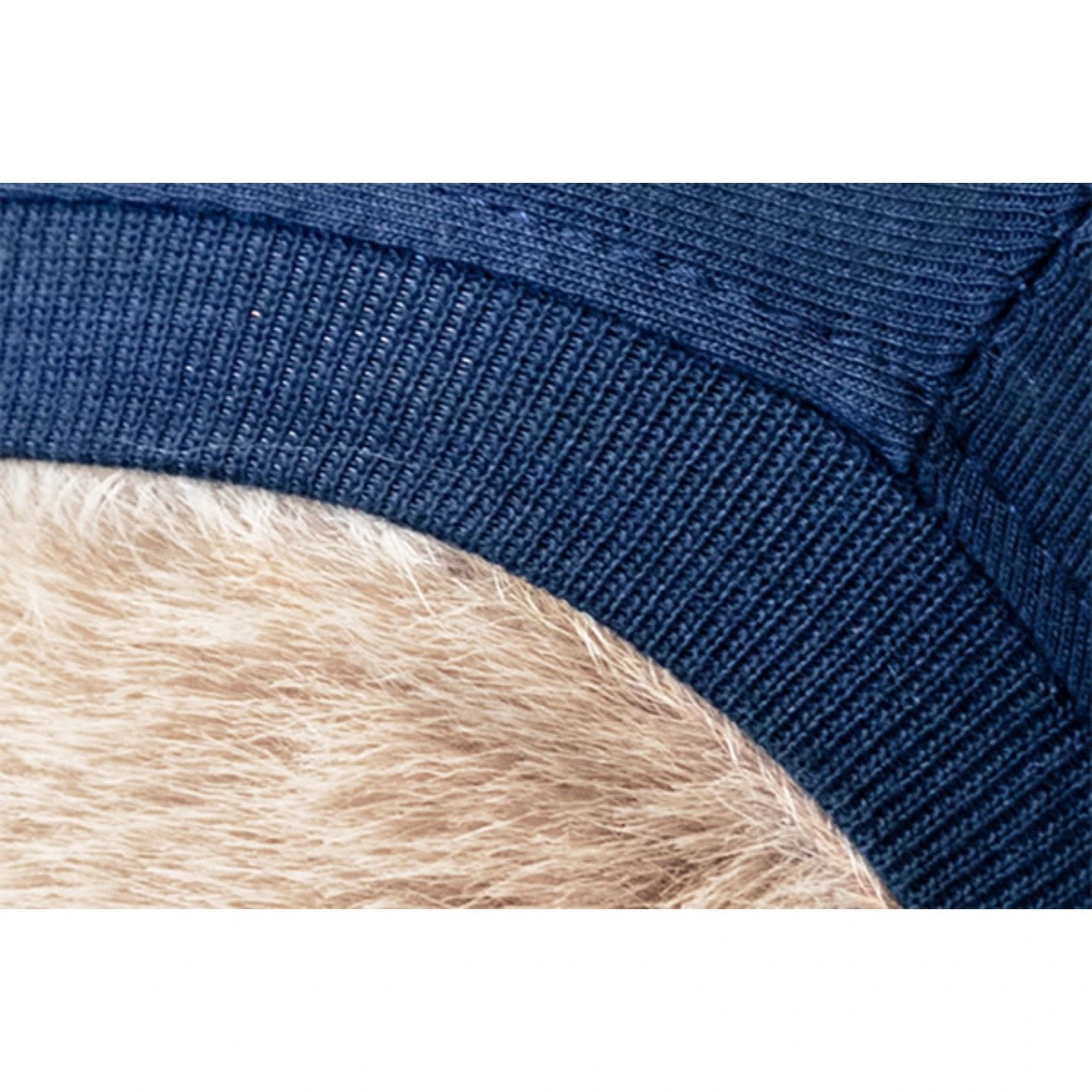 MPS Medical Pet Shirt - 1 Stuk 10 MPS Medical Pet Shirt - 1 Stuk - Afbeelding 10