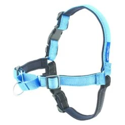 PetSafe Easy Walk Deluxe Harness - Ocean Blue -Dierenwinkel petsafe easy walk deluxe harness ocean blue 3