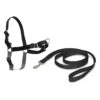 PetSafe Easy Walk Harness