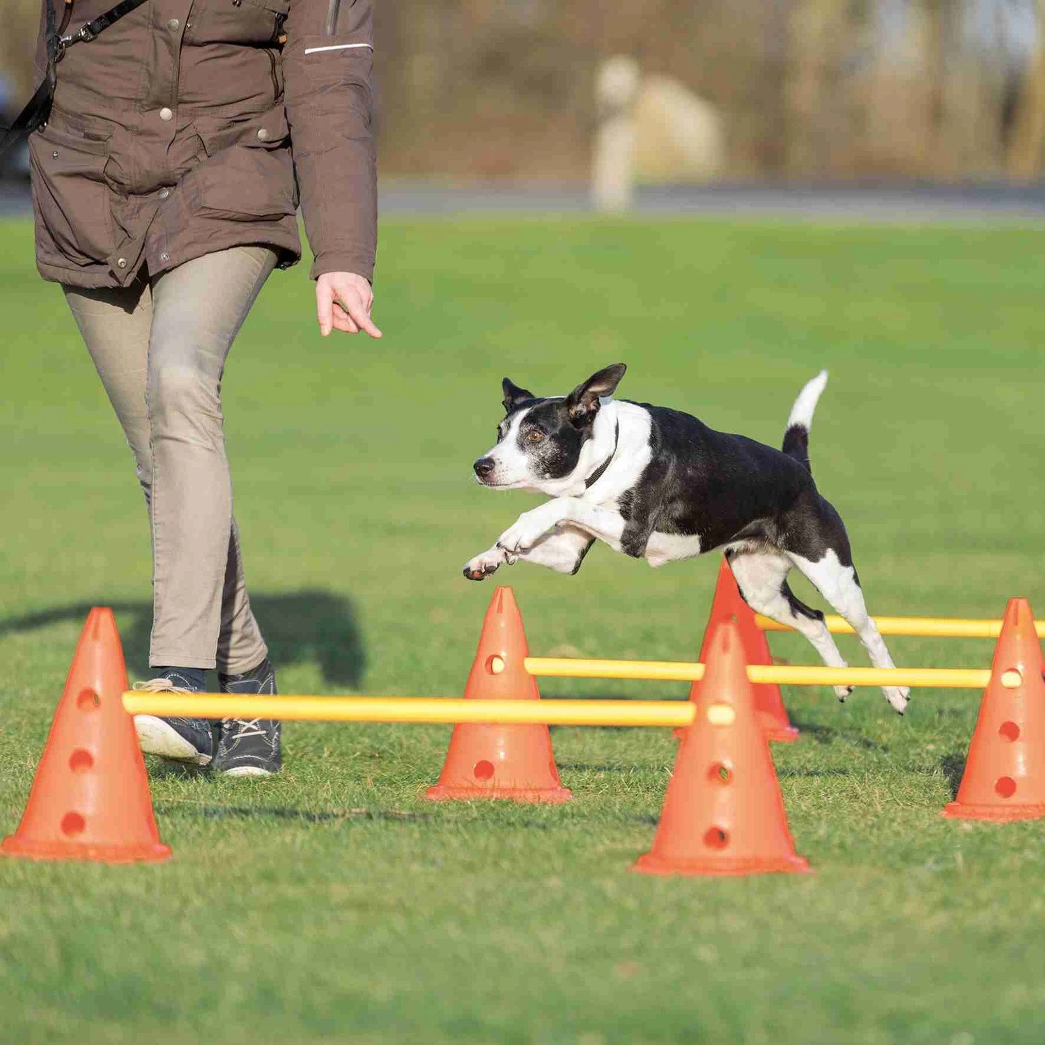 Trixie Trixie Agility Hordenset 2 Trixie Trixie Agility Hordenset - Afbeelding 2